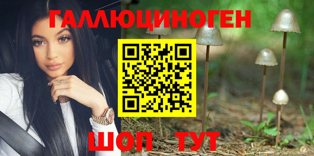 Галлюциногенные грибы Psilocybe Ирбит